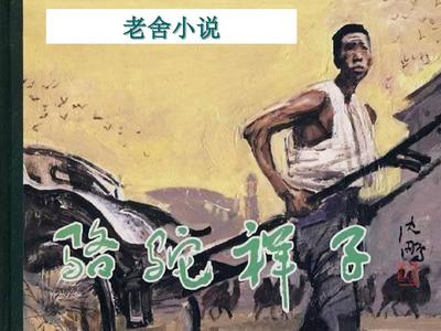 菠萝导航网页版